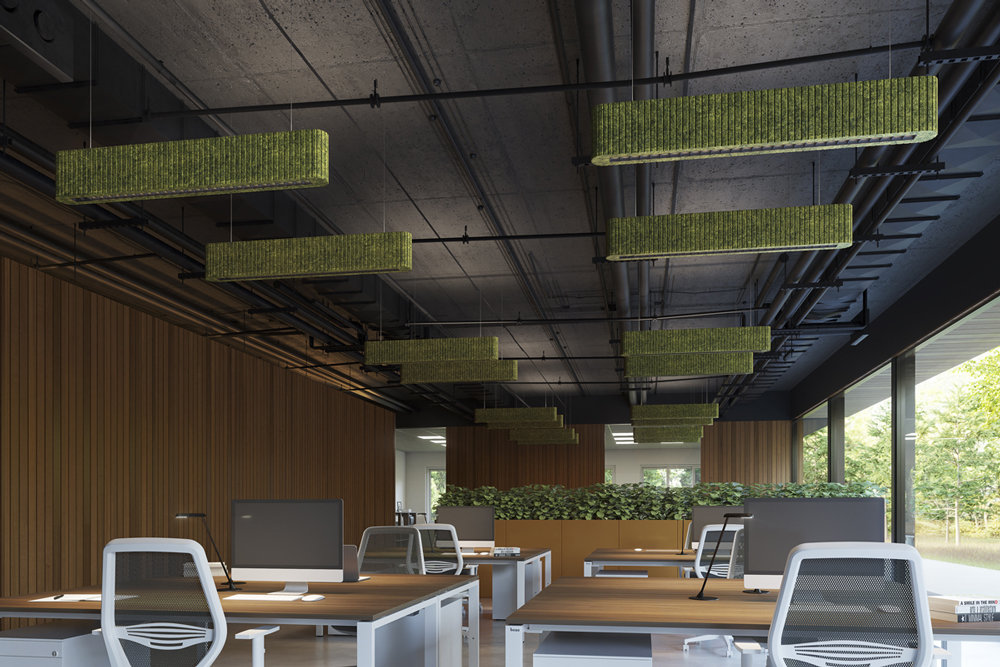 Pacifica Acoustic lighting in office above desks for low glare lighting